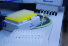 МГУ и Сколковский институт раскрыли роль белка hTERP и аутофагии mgu i skolkovskij institut raskryli rol belka i autofagii-journalrf-ru-0