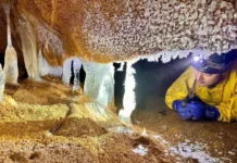 Пещера «Черный Кот» расширена спелеологами в Режевском заказнике peshhera chernyj kot rasshirena speleologami v rezhevskom zakaznike-journalrf-ru-0