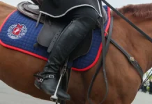 FEI разрешила юным спортсменам России выступать под своим флагом razreshila yunym sportsmenam rossii vystupat pod svoim flagom-journalrf-ru-0