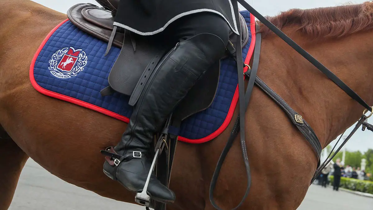 Российским юниорам в конном спорте вернули право выступать с флагом и гимном