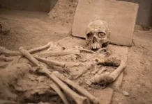 Уникальная трепанация: под Кембриджем найдены скелеты викингов unikalnaya trepanacziya pod kembridzhem najdeny skelety vikingov-journalrf-ru-0