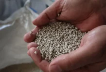 Абдолреза Аббасян ожидает потрясений на рынке удобрений abdolreza abbasyan ozhidaet potryasenij na rynke udobrenij-journalrf-ru-0