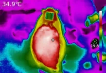 implantaty s redkozemelnymi metallami porazili pochki i pechen krys-journalrf-ru-0