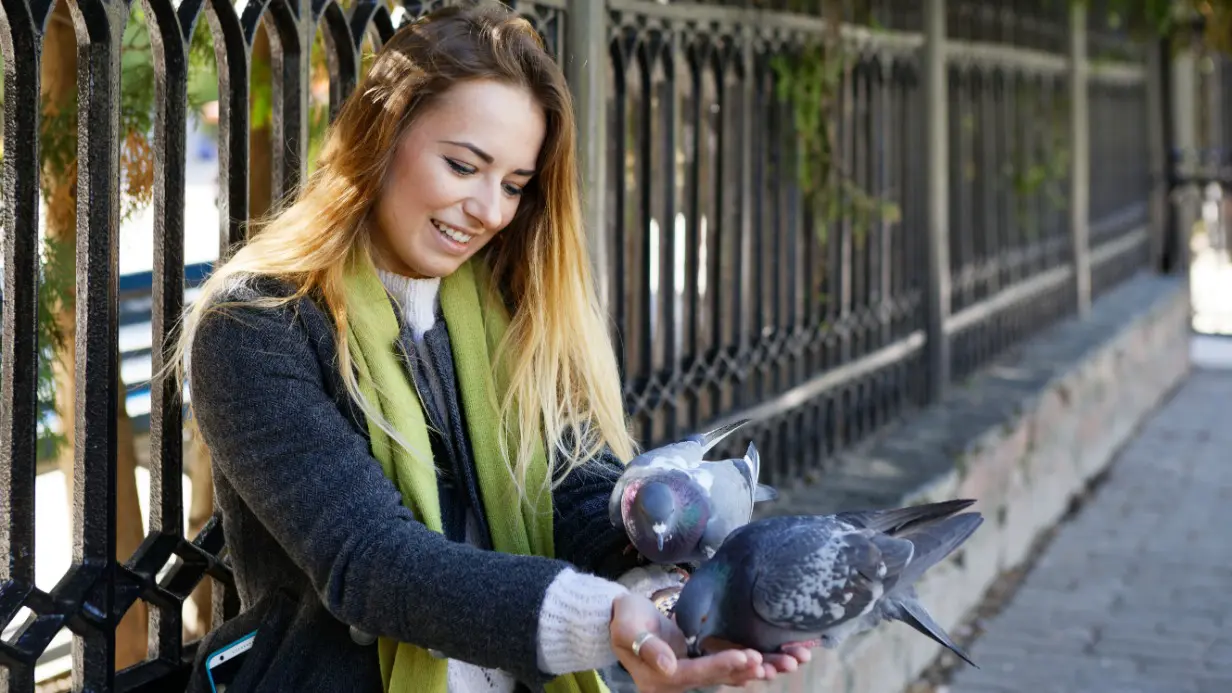 Любителям покрошить булку перед подъездом стоит задуматься о своем поведении — так можно не только получить штраф, но и погубить пернатых