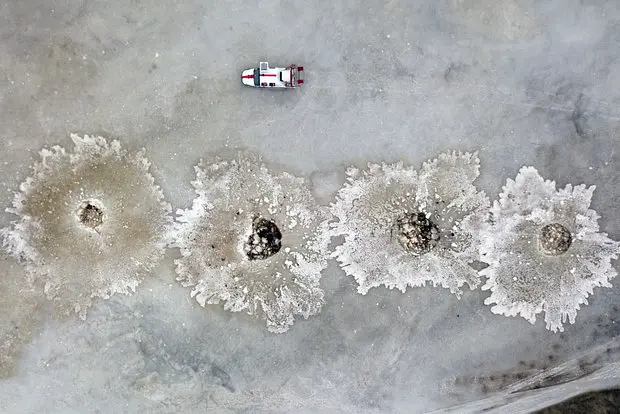 Вводная картинка