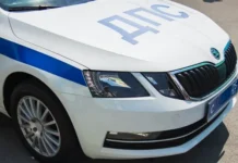 Полиция Михайловского района сообщила о ДТП: Mercedes и скот policziya mihajlovskogo rajona soobshhila o dtp i skot-journalrf-ru-0