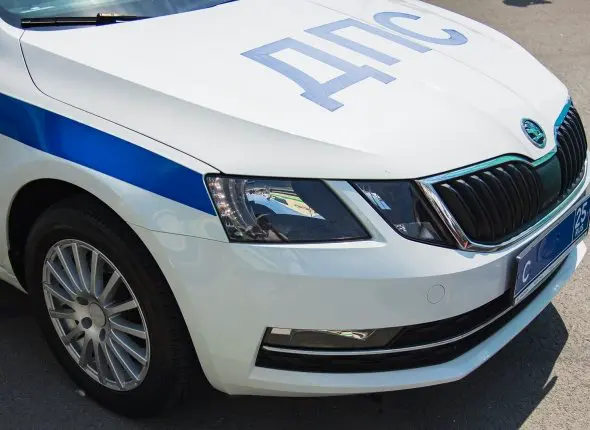 Фото: primamedia.ru