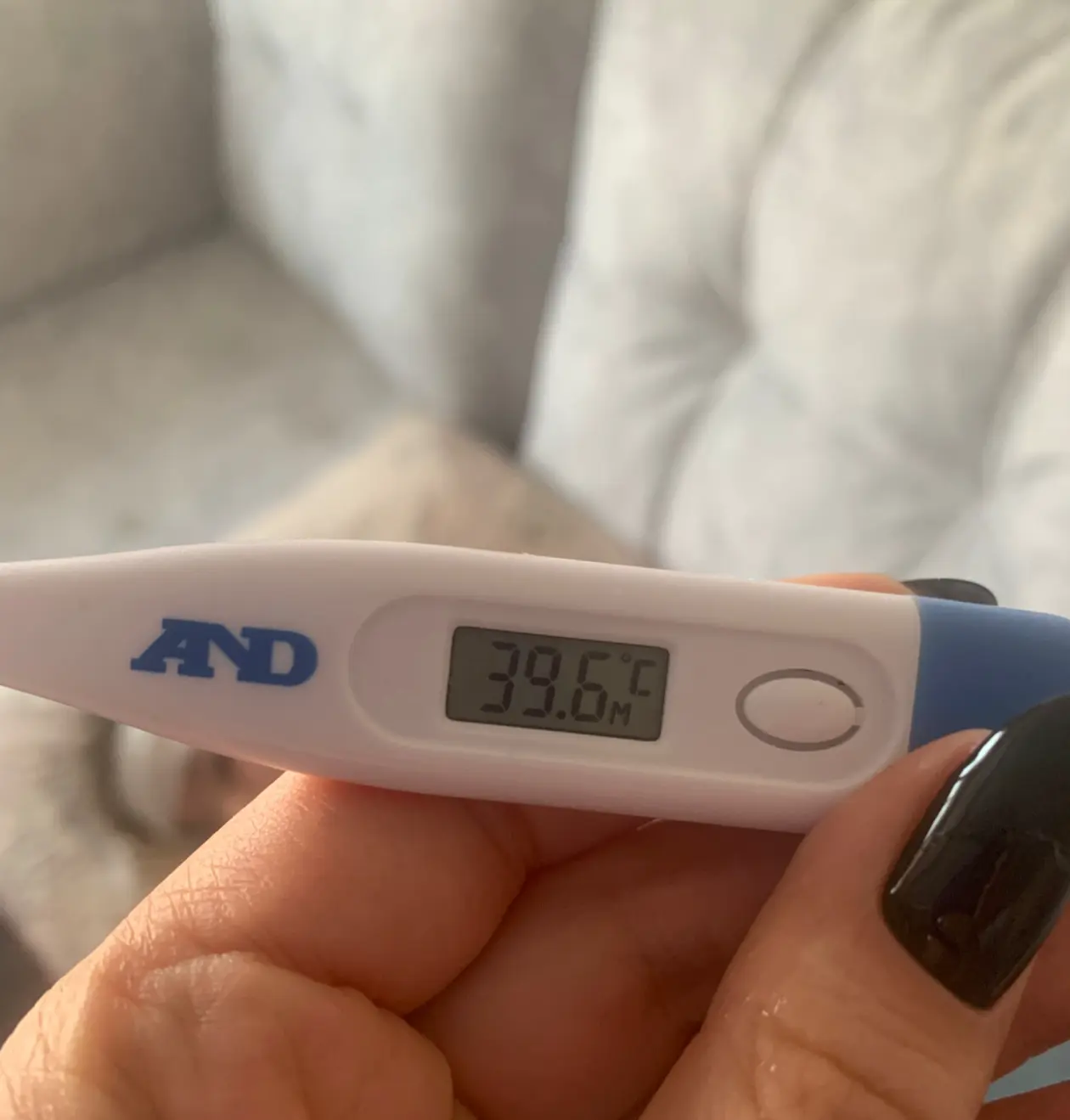 Фото: primamedia.ru