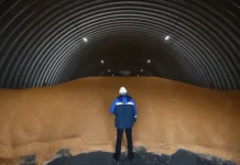 Россия и Турция: агроэкспортная сенсация, кукуруза, геополитика rossiya i turcziya agroeksportnaya sensacziya kukuruza geopolitika-journalrf-ru-0