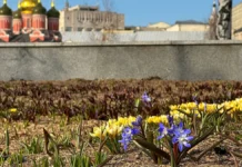 Синоптики обещают комфортную и сухую весеннюю погоду в Москве 21 марта sinoptiki obeshhayut komfortnuyu i suhuyu vesennyuyu pogodu v moskve 21 marta-journalrf-ru-0