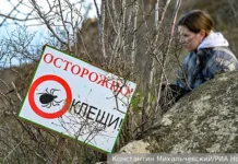 Советский Союз повлиял на распространение энцефалитного клеща в России sovetskij soyuz povliyal na rasprostranenie enczefalitnogo kleshha v rossii-journalrf-ru-0