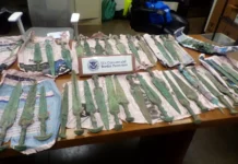 Таможня США выявила иранские артефакты Бронзового века из Талыша tamozhnya ssha vyyavila iranskie artefakty bronzovogo veka iz talysha-journalrf-ru-0