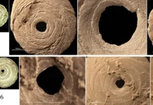 В Кувинской пещере неандертальцы и люди обменивались технологиями v kuvinskoj peshhere neandertalczy i lyudi obmenivalis tehnologiyami-journalrf-ru-0
