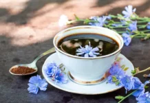 Цикорий защищает и сохраняет здоровье печени czikorij zashhishhaet i sohranyaet zdorove pecheni-journalrf-ru-0