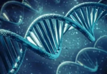 den dnk i vklad dzhejmsa uotsona i aleksandra baeva v nauku o genome-journalrf-ru-0