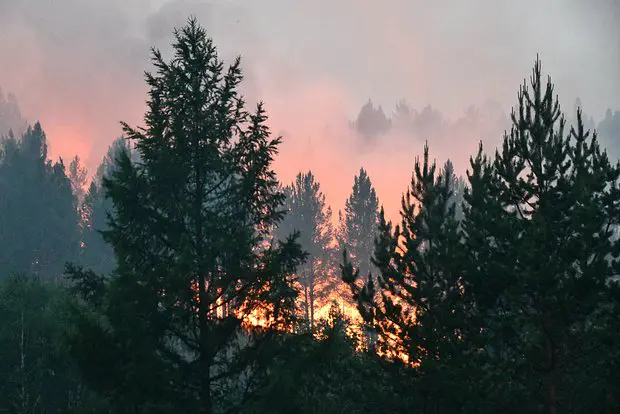 Архивное фото