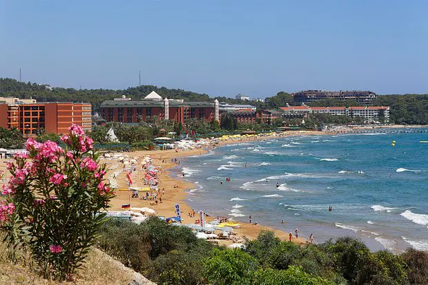 Вводная картинка