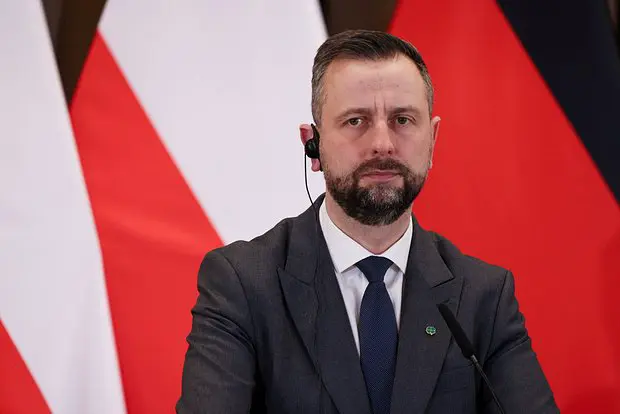 Владислав Косиняк-Камыш