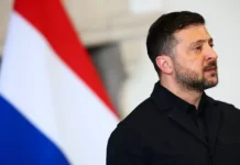 Критика Зеленским подхода к Мадьяру вызвала резонанс kritika zelenskim podhoda k madyaru vyzvala rezonans-journalrf-ru-0