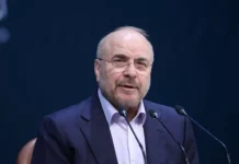 Мохаммад Галибаф: Иран уверен в диалоге с США и Тель-Авивом mohammad galibaf iran uveren v dialoge s ssha i telavivom-journalrf-ru-0