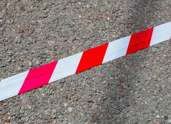 Фото: primamedia.ru