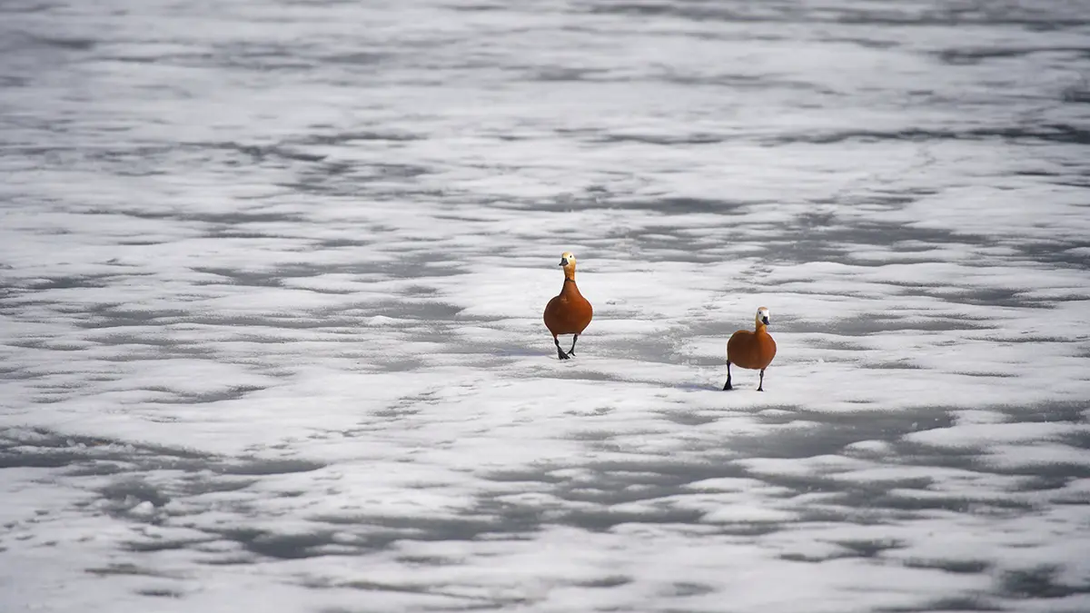 На Урале трое детей провалились под лед, один погиб