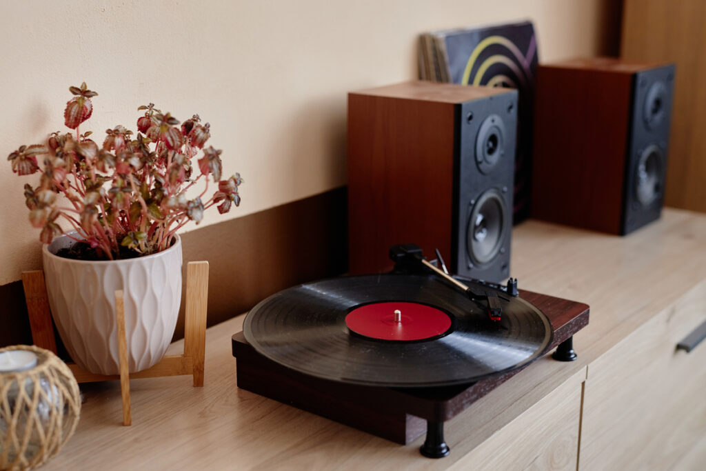 Ретро-виниловый плеер с колонками и растением