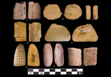 Роберт Мэдден из Университета Колорадо изменил историю азартных игр robert medden iz universiteta kolorado izmenil istoriyu azartnyh igr-journalrf-ru-0