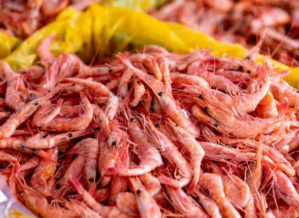 Фото: primamedia.ru