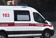 СК России реагирует на инцидент с оружием в Арзамасе sk rossii reagiruet na inczident s oruzhiem v arzamase-journalrf-ru-0