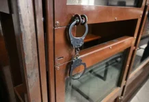 Суд в Нижегородской области решил дело о нападении браконьера sud v nizhegorodskoj oblasti reshil delo o napadenii brakonera-journalrf-ru-0