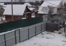 Весенний снегопад удивил Тверь и Центральный федеральный округ России vesennij snegopad udivil tver i czentralnyj federalnyj okrug rossii-journalrf-ru-0