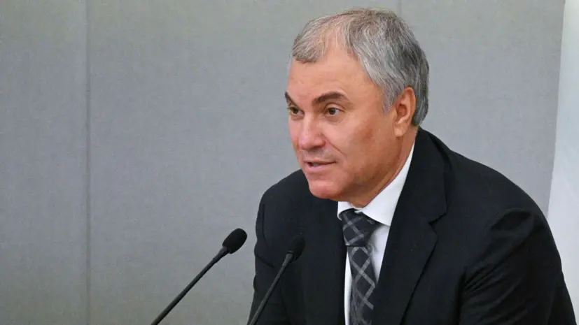 Володин заявил о планах увеличить основания для выдворения иностранцев