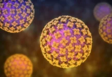 hantavirus u paczienta   v izraile uspeshnaya terapiya-journalrf-ru-0