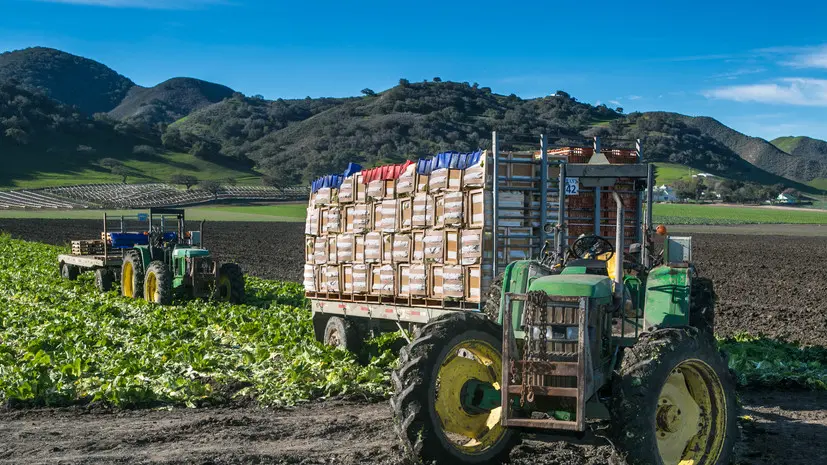 Белый дом: Китай будет закупать сельхозпродукцию США на $17 млрд в год