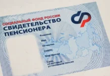 lyudmila ivanovashvecz iz reu im gv plehanova o soczpensiyah-journalrf-ru-0