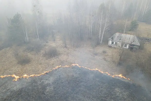 Вводная картинка