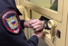 Очевидица спасла пятилетнюю девочку в Тюмени, мужчина задержан ochevidicza spasla pyatiletnyuyu devochku v tyumeni muzhchina zaderzhan-journalrf-ru-0