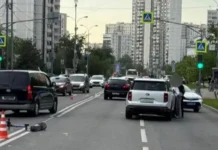 Прокуратура Москвы контролирует расследование ДТП с подростками prokuratura moskvy kontroliruet rassledovanie dtp s podrostkami-journalrf-ru-0