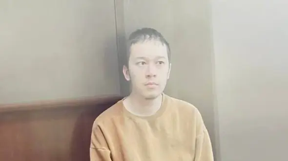 Суд арестовал мужчину, напавшего с ножом на семилетнюю девочку в Подмосковье