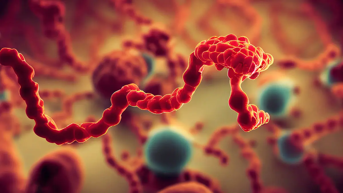 Жителям Уганды запретили рукопожатия из-за вспышки Эболы