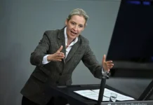 Алис Вайдель: Украина должна объясниться по взрывам "Северного потока" alis vajdel ukraina dolzhna obyasnitsya po vzryvam severnogo potoka-journalrf-ru-0