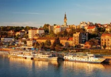 Попович на ПМЭФ раскрыл планы Air Serbia для россиян popovich na pmef raskryl plany dlya rossiyan-journalrf-ru-0