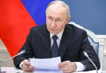 Путин о ФССП и Верховном суде: штрафы власти станут оптимальными putin o fssp i verhovnom sude shtrafy vlasti stanut optimalnymi-journalrf-ru-0