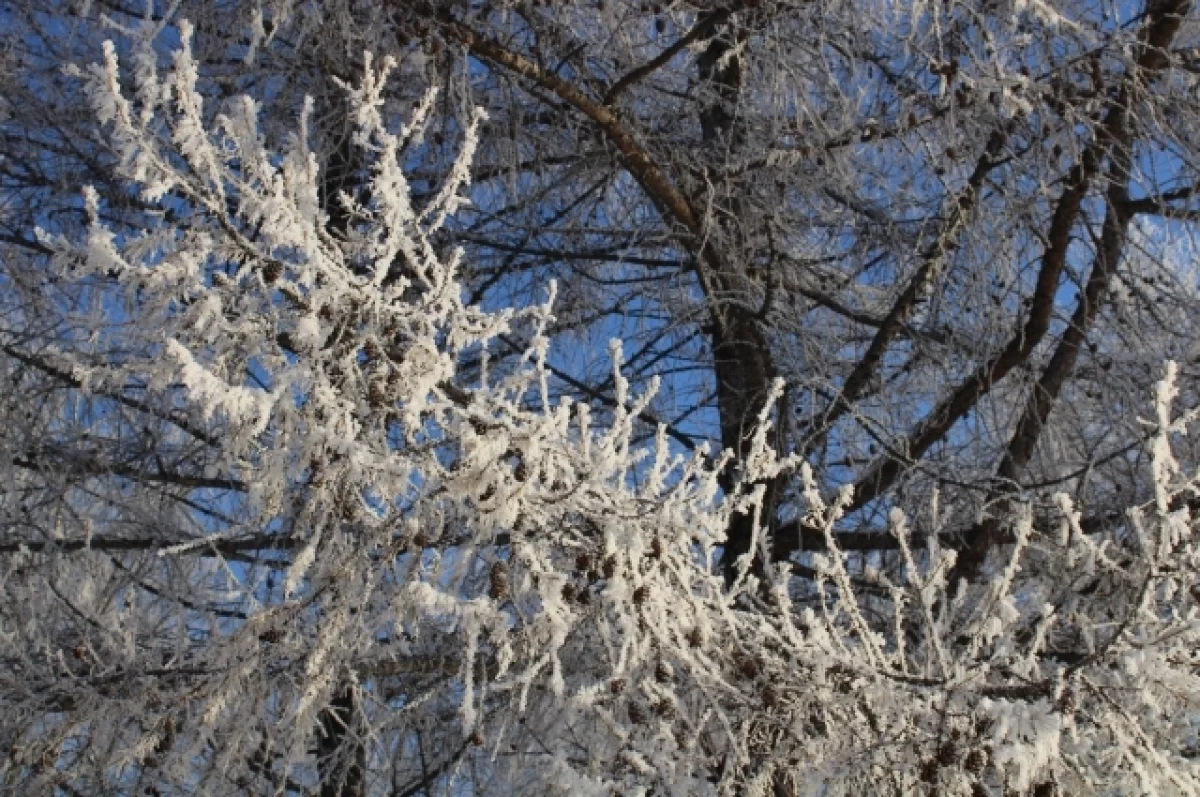 Погода в Свердловской области: прогноз на неделю 3b97f4e1-e072-4652-9dd6-d9f5e82f7bf9-6797354c