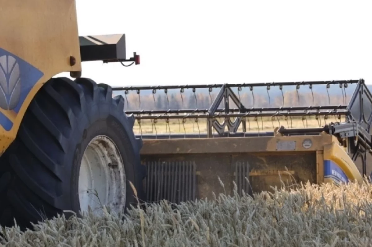 Урожай в Свердловской области превзошел плановые показатели df8a75dc-c906-488d-87ed-72190eb0dab2-677f9cec