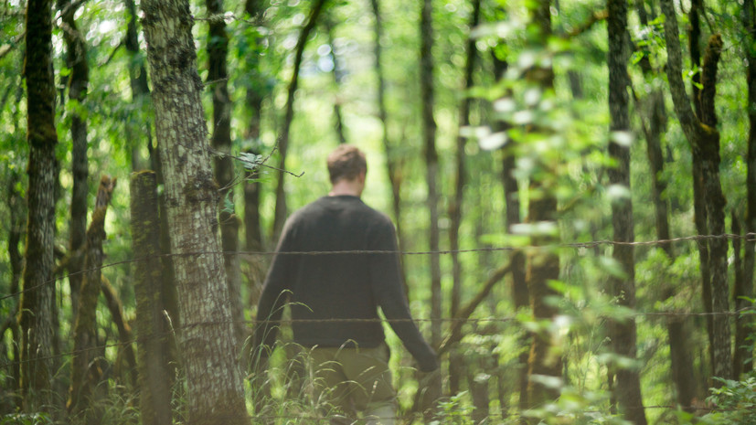 В лесу Солнечногорска неизвестный устанавливает на тропинках, где катаются байкеры, растяжки