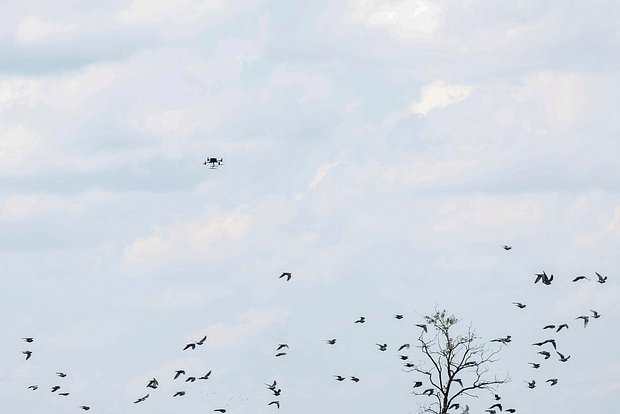 Массированная атака украинских дронов обрушилась на российский регион: подробности отражения удара 30104138-3457-450d-b0da-ed7aa8f5b1f3-67bed060