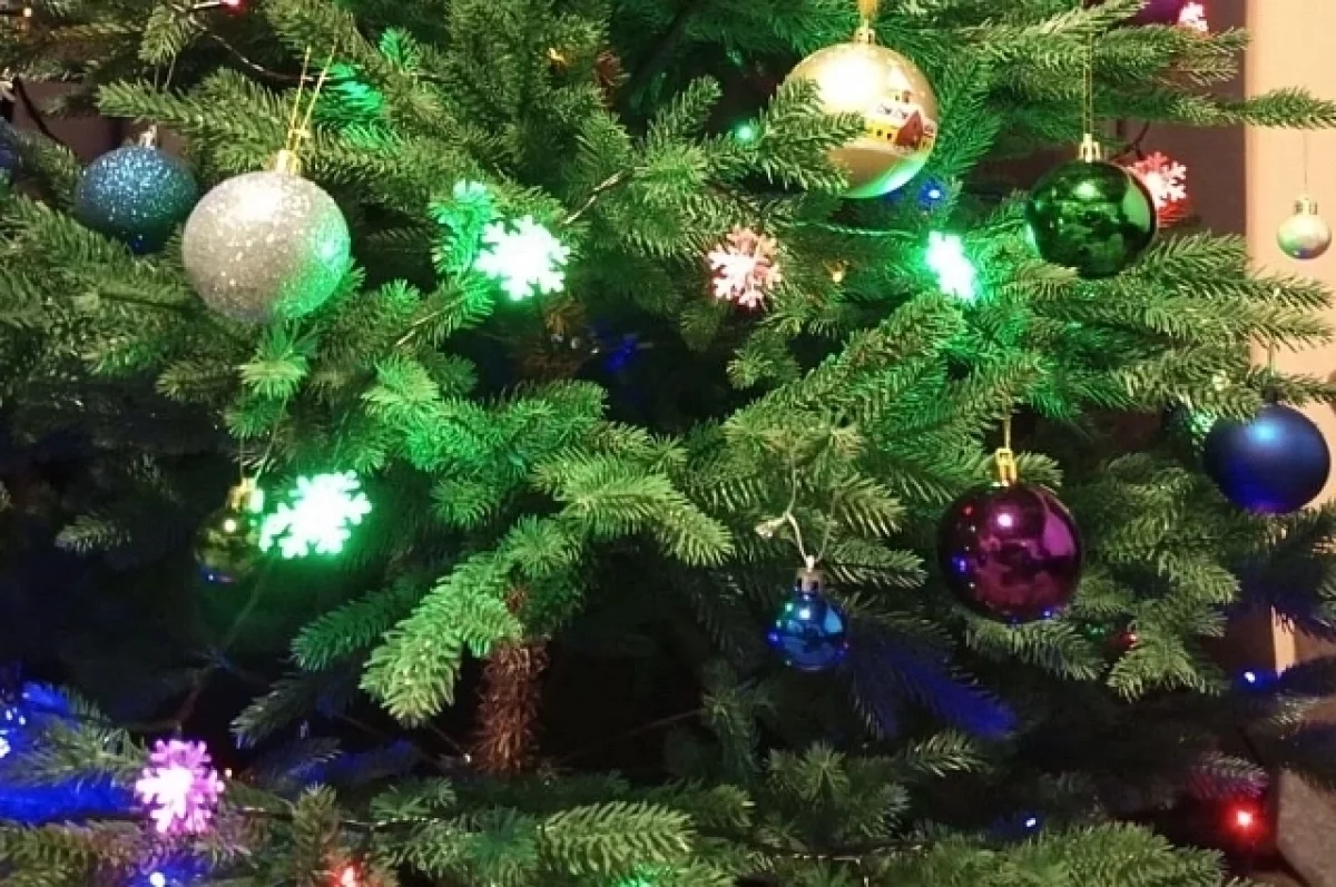 Безопасность новогодних празднований на Урале выходит на новый уровень 47798725-f95b-4e11-941f-2b87bc7b874e-67be2691