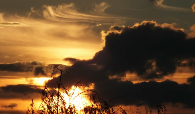Лукьян Ветряк: приметы и традиции в народный праздник 16 июня b64473a1-767e-400f-a71d-d6f3c3bd8609-67c1a91f